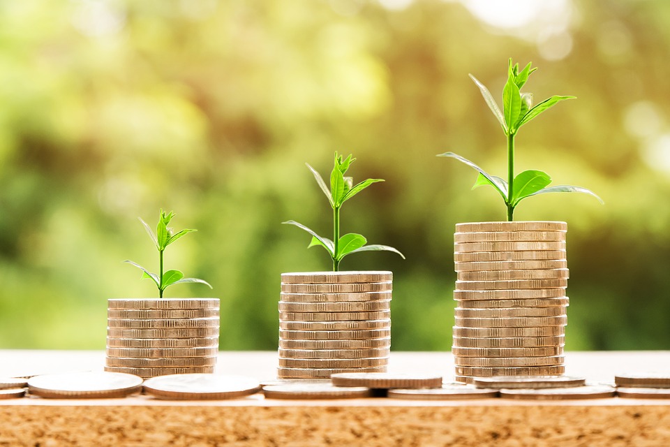 investment tips for beginners